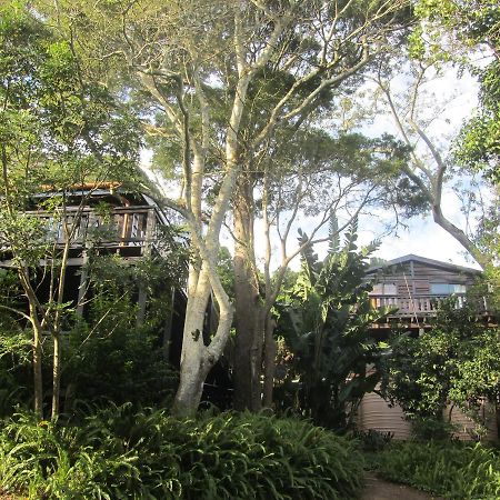 Treehouse Cottage The Crags المظهر الخارجي الصورة