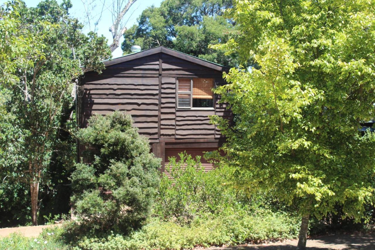 Treehouse Cottage The Crags المظهر الخارجي الصورة