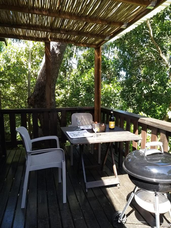 Treehouse Cottage The Crags المظهر الخارجي الصورة