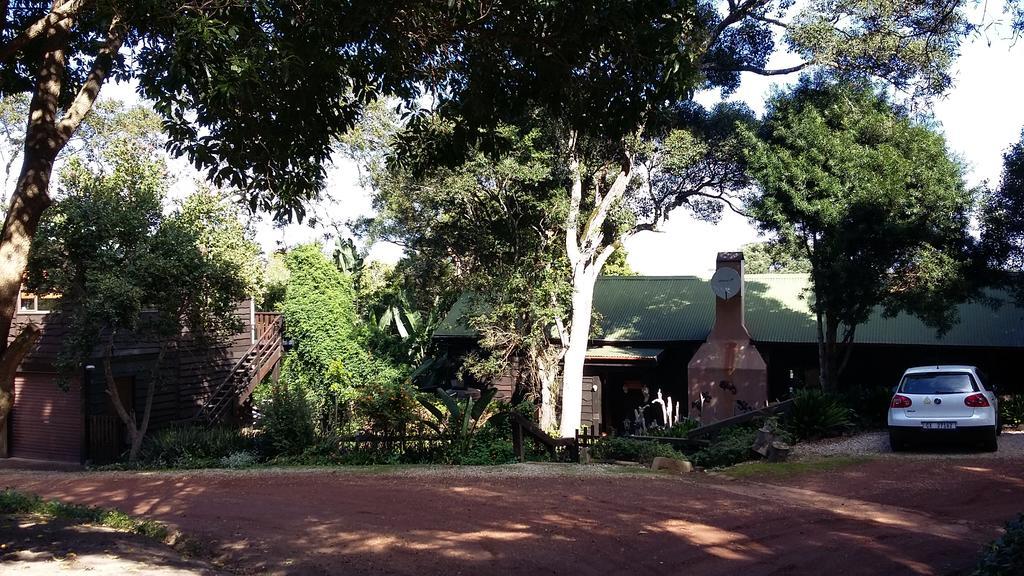 Treehouse Cottage The Crags المظهر الخارجي الصورة
