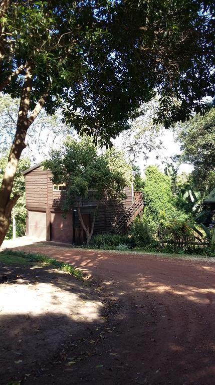 Treehouse Cottage The Crags المظهر الخارجي الصورة