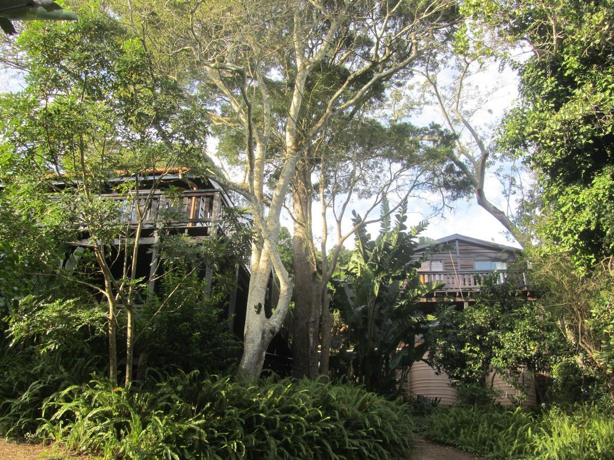 Treehouse Cottage The Crags المظهر الخارجي الصورة